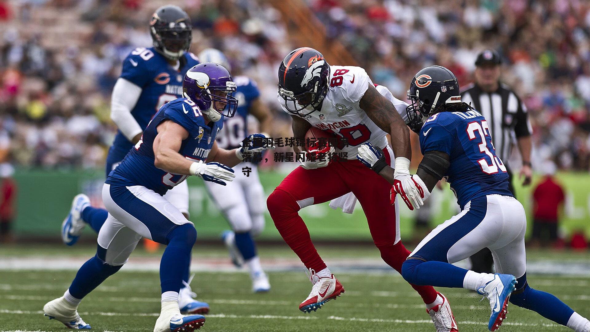 全国羽毛球锦标赛圆满落幕，新星闪耀老将坚守