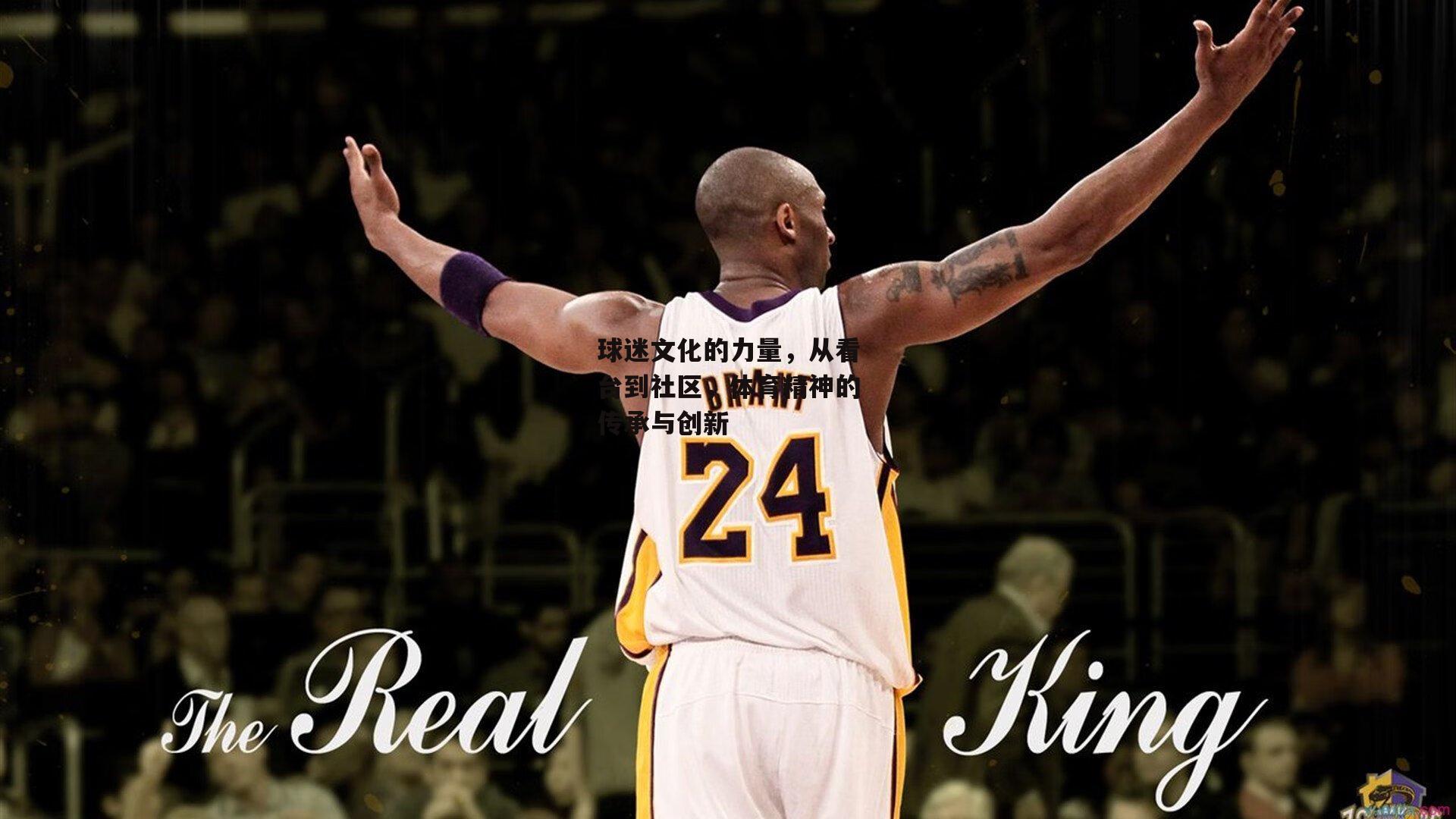 球迷文化的力量,从看台到社区,体育精神的传承与创新