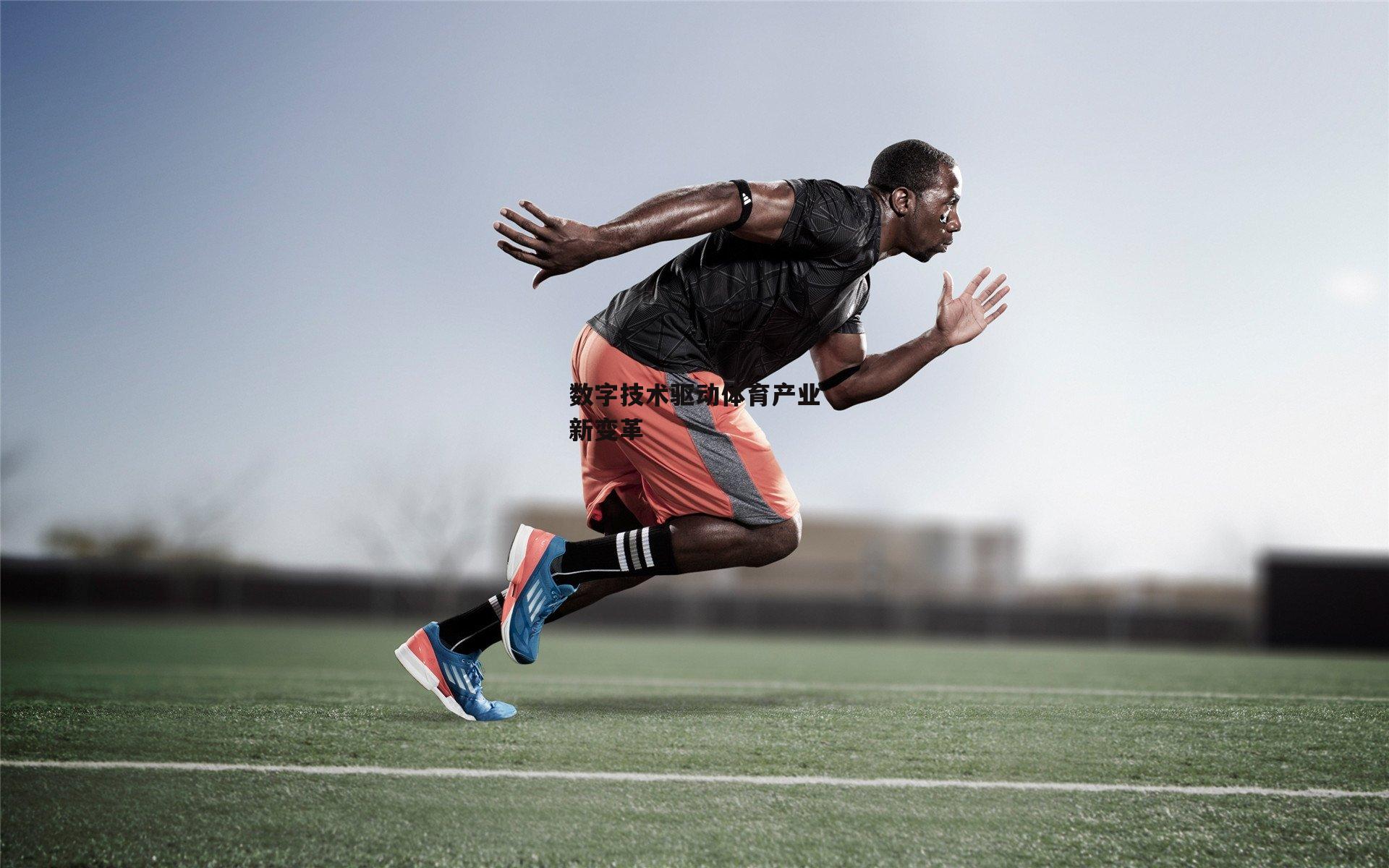 数字技术驱动体育产业新变革